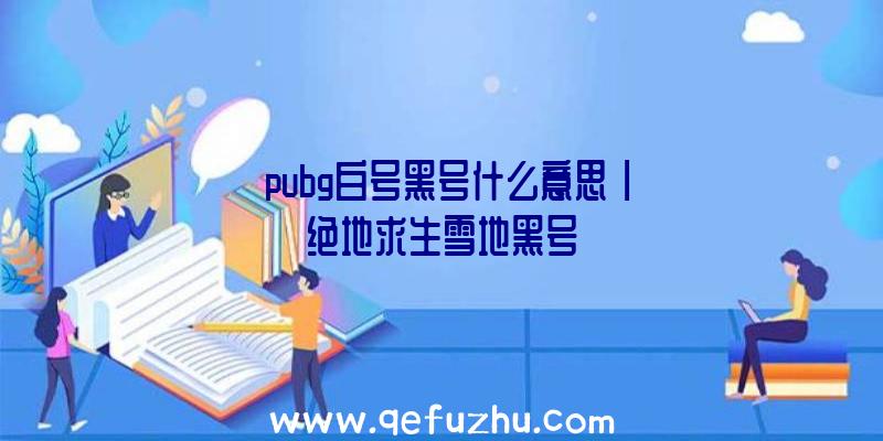 「pubg白号黑号什么意思」|绝地求生雪地黑号